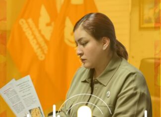 OPLE Veracruz no tiene capacidad para garantizar la legalidad de las elecciones: Mayra Amador