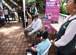 Vive Xalapa un sábado verde con actividades por el medio ambiente