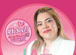 Ley de Medios Alternativos no fue estudiada a fondo por Lisbeth Aurelia Jiménez