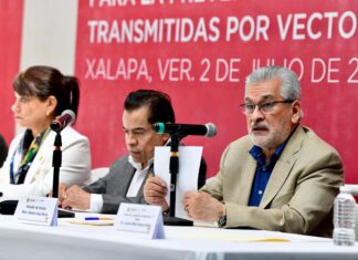 Se suma Xalapa a lucha contra el dengue