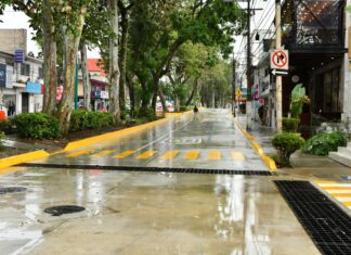 Abren Araucarias de Tepic a Tapachula
