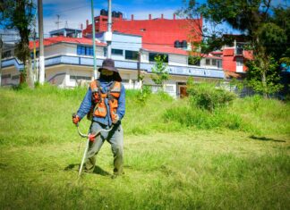 Realizan Jornada Comunitaria de Mantenimiento de Áreas Verdes