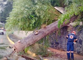 Ayuntamiento de Xalapa, en alerta por lluvias
