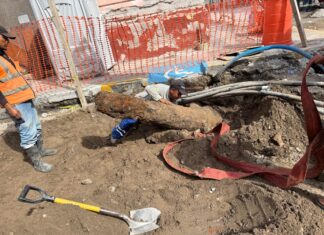 Descubren segundo cañón antiguo durante obras en el Centro Histórico de Veracruz: Paty Lobeira