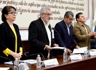 Sancionará Ayuntamiento de Xalapa el maltrato animal