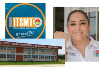 Corrupción, abuso de poder y servidores públicos sin Cédula Profesional en el Tecnológico Superior de Martínez de la Torre