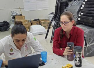 Protección Civil en Veracruz: Red de nombramientos sin Cédula Profesional, ni perfil técnico