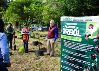 Encabeza Alberto Islas Jornada de Reforestación y Arborización en El Vallecito