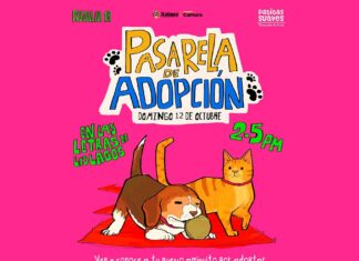 Disfruta de la cultura en Xalapa