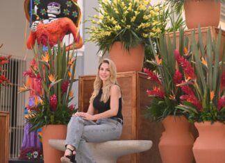 El Zócalo y el Corredor Zamora de Veracruz se llenan de color con la decoración del Día de Muertos: Paty Lobeira