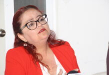 Desarrollo Urbano de Xalapa hundido en rezago e incapacidad; su titular prefiere repartir palomitas