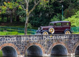 Xalapa celebrará el Día del Auto Antiguo con exhibición en la zona universitaria