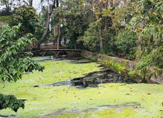 Lago de Las Ánimas muestra deterioro reciente; piden atención municipal