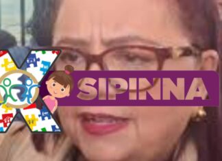 Tráfico de influencias en SIPINNA; Daniela Griego asegura ser “puras mentiras” y Transparencia la desmiente