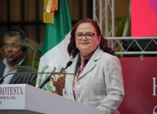 Maleza, abandono y riesgo para peatones en Xalapa