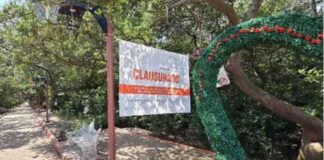 Juez Federal frena “Bosque de las Hadas” en Pueblo Viejo; advierte sanciones por desacato ambiental