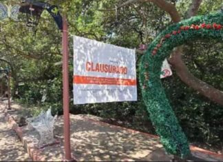 Juez Federal frena “Bosque de las Hadas” en Pueblo Viejo; advierte sanciones por desacato ambiental