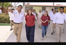 Daño patrimonial, corrupción y opacidad en el Instituto de Espacios Educativos de Veracruz