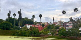 “¿Dónde está la obra pública?”: Vecinos de Las Ánimas denuncian abandono y deterioro de Xalapa