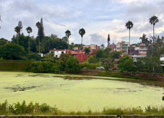 “¿Dónde está la obra pública?”: Vecinos de Las Ánimas denuncian abandono y deterioro de Xalapa