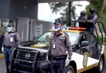 Crisis operativa en el IPAX: Inexperiencia y parálisis administrativa asfixian a la dependencia