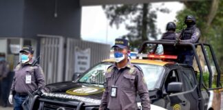 Crisis operativa en el IPAX: Inexperiencia y parálisis administrativa asfixian a la dependencia