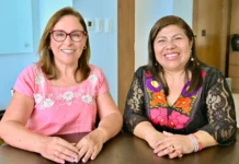 Corrupción: Secretaría de Cultura en Veracruz ejerce $91 MDP y los $309 MDP restantes los esconde